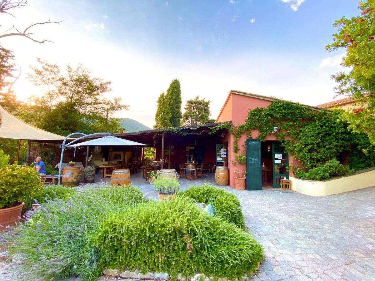 Agriturismo Terenzana Lejlighedshotel Riparbella Eksteriør billede