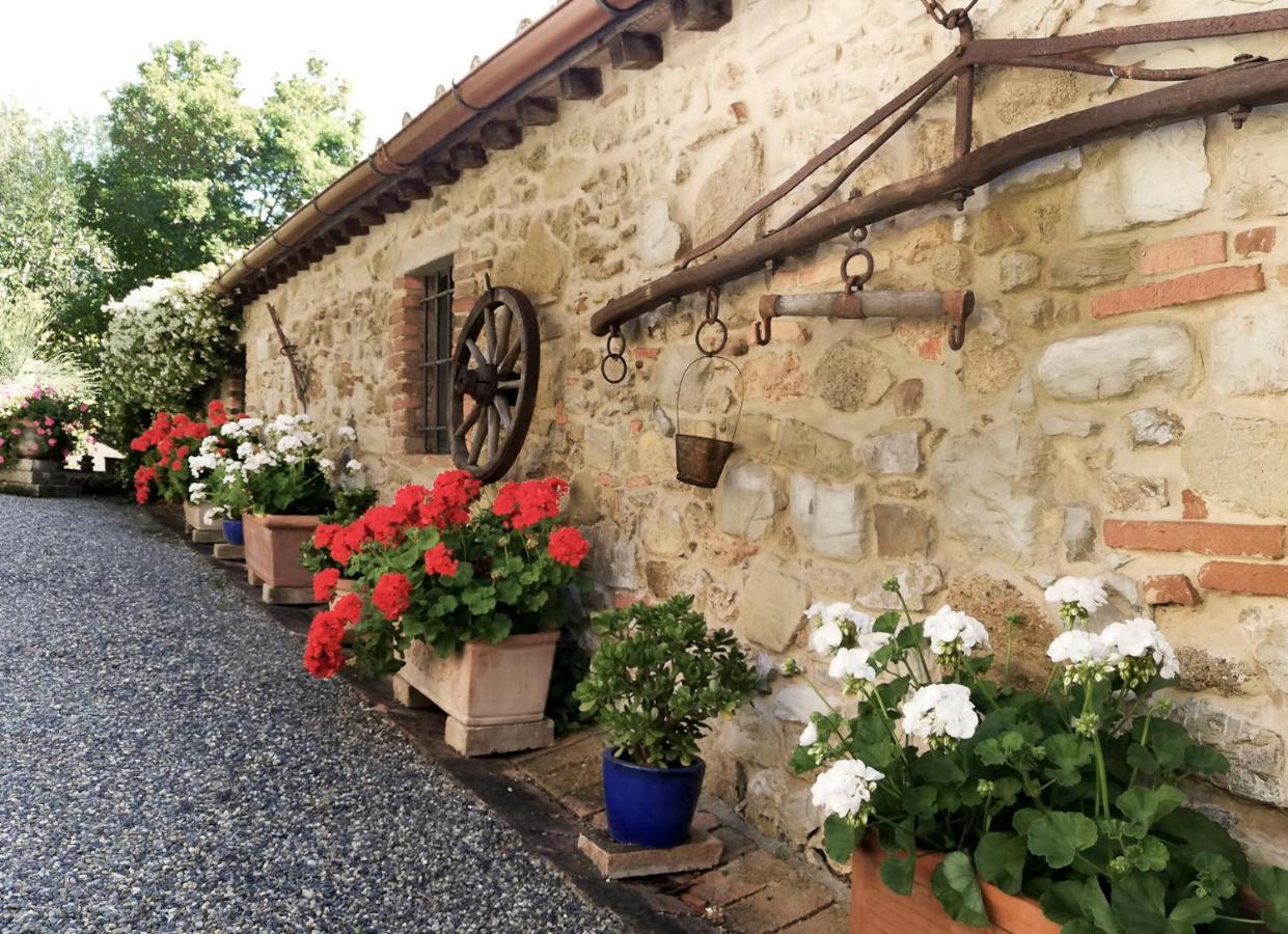 Agriturismo Terenzana Lejlighedshotel Riparbella Eksteriør billede
