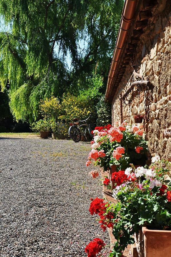 Agriturismo Terenzana Lejlighedshotel Riparbella Eksteriør billede