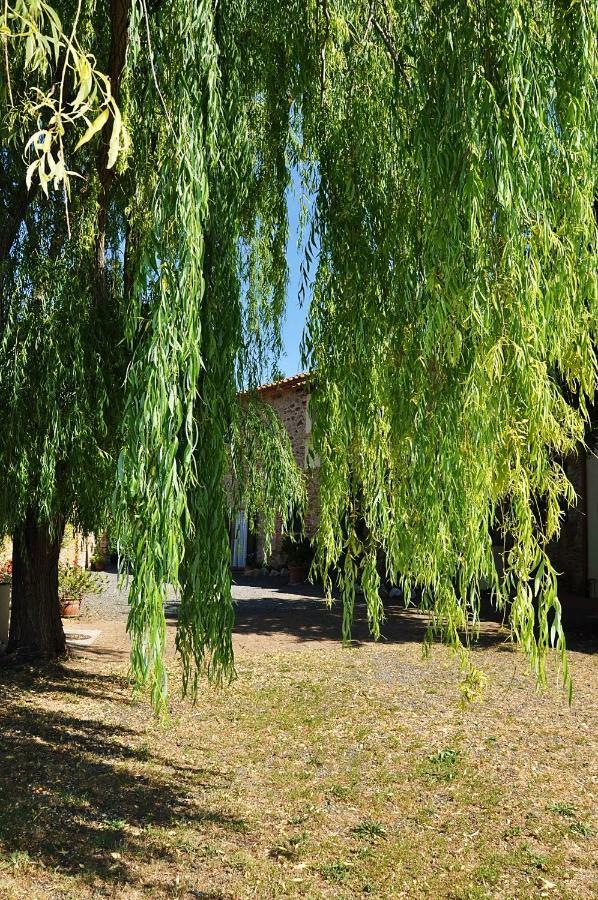 Agriturismo Terenzana Lejlighedshotel Riparbella Eksteriør billede